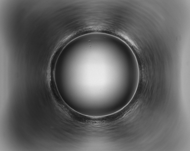 X0000096190486200801181324