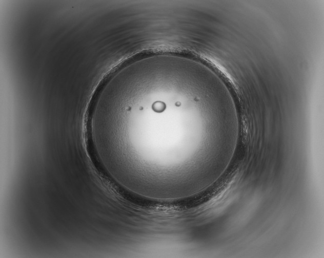 X0000096190487200801181324