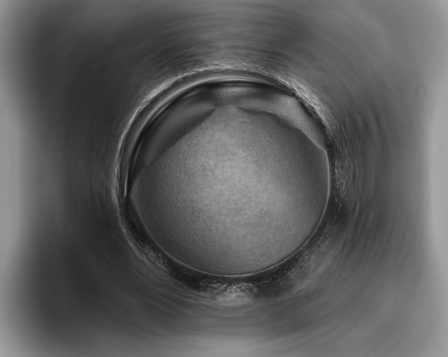 X0000096190488200801181324