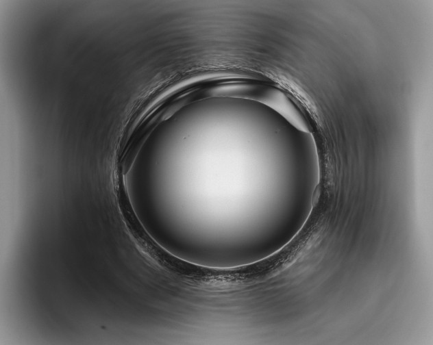 X0000096190489200801181324