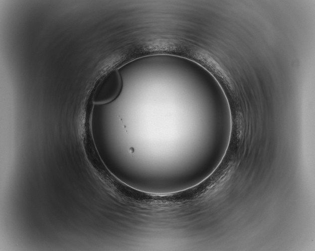 X0000096190490200801181324