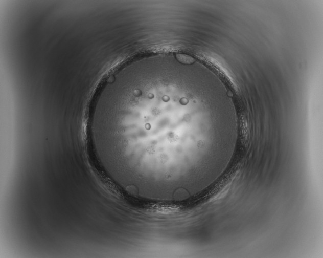 X0000096190491200801181324