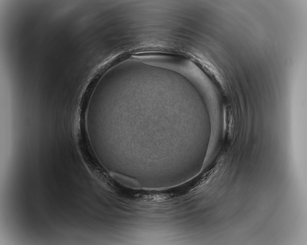 X0000096190492200801181324
