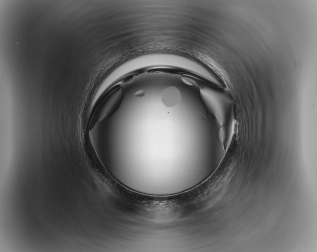 X0000096190493200801181324