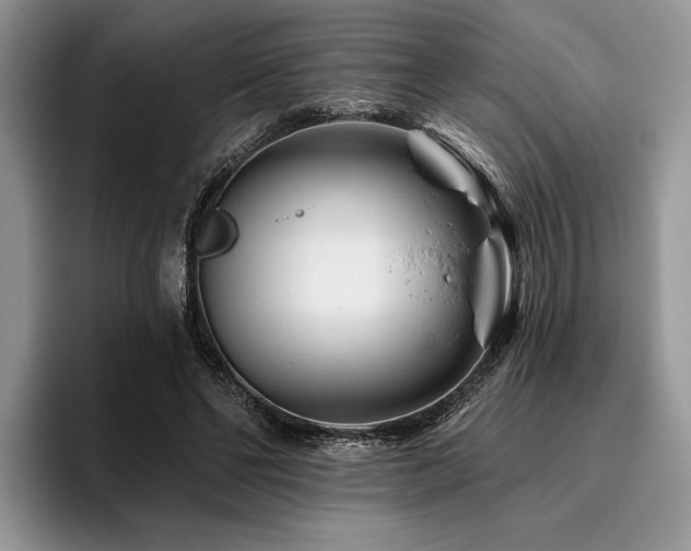 X0000096190494200801181324