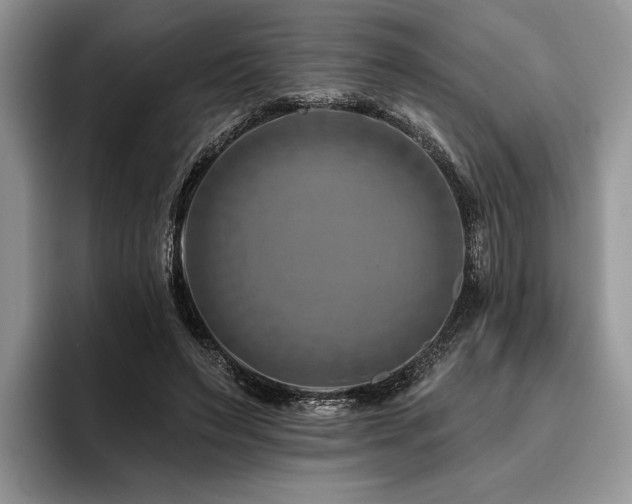 X0000096190495200801181324