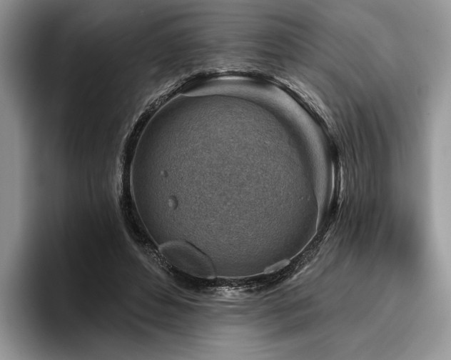X0000096190496200801181324