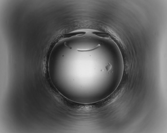 X0000096190497200801181324