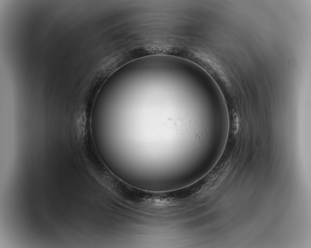 X0000096190498200801181324