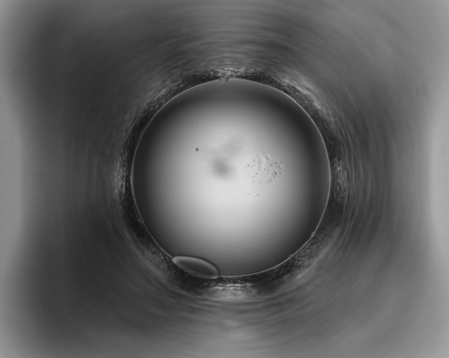 X0000096190499200801181324