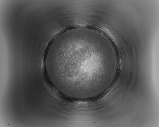 X0000096190500200801181324
