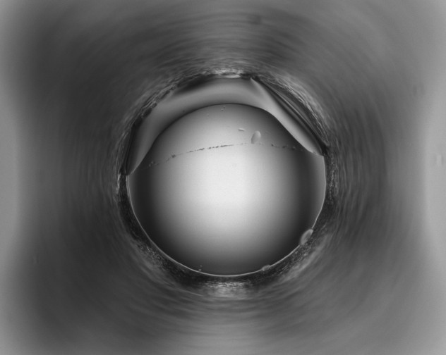 X0000096190501200801181324