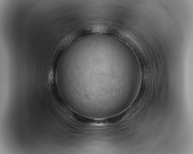 X0000096190502200801181324