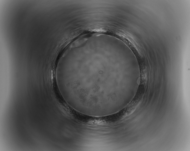 X0000096190503200801181324