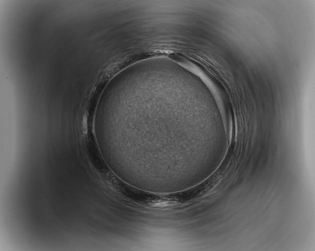 X0000096190504200801181324