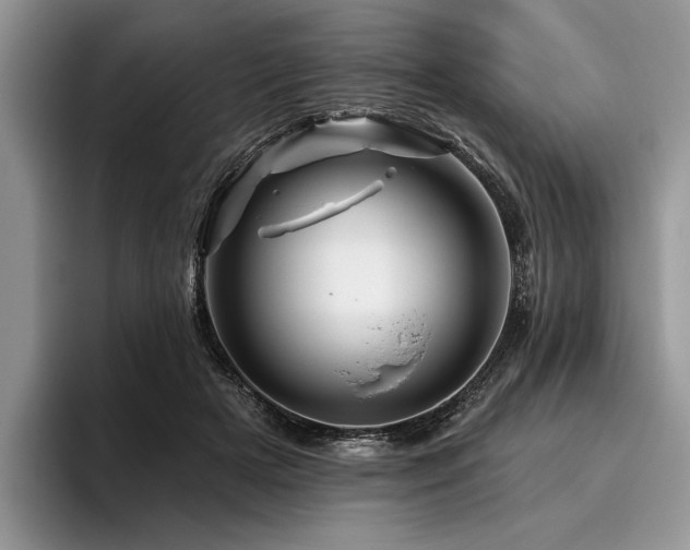 X0000096190505200801181324