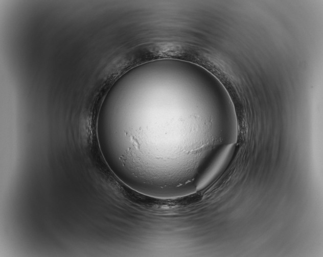 X0000096190506200801181324