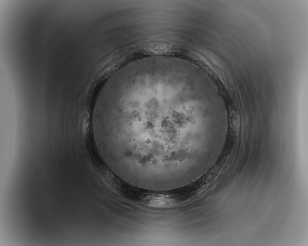 X0000096190507200801181324