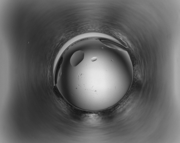 X0000096190509200801181323