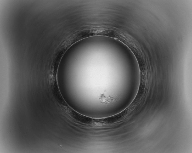 X0000096190510200801181323