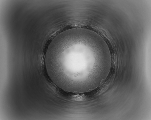 X0000096190511200801181323