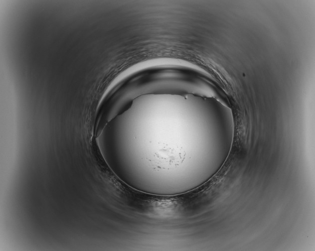 X0000096190513200801181323