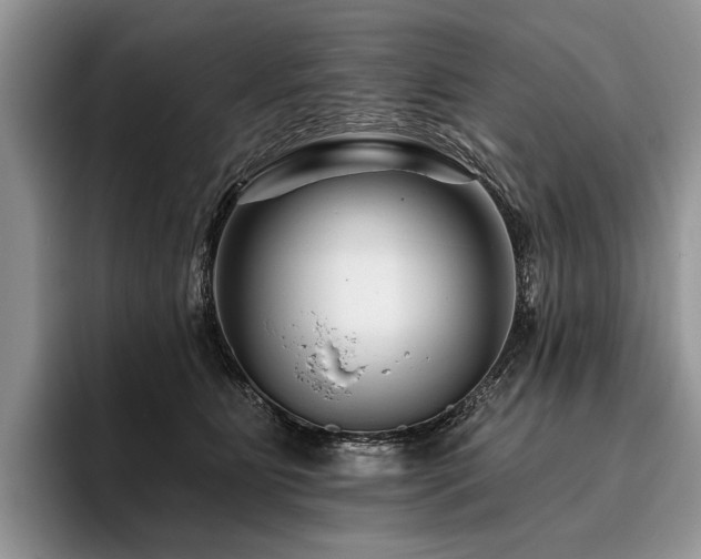 X0000096190515200801181323
