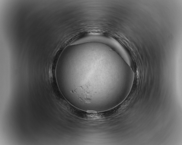X0000096190516200801181323