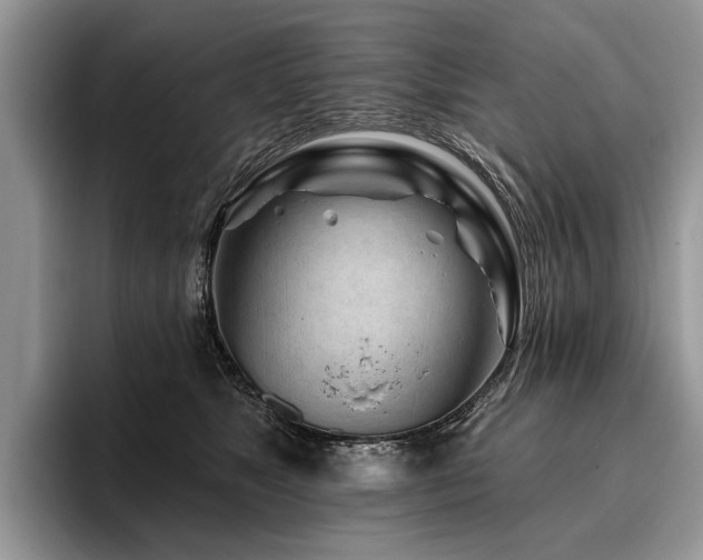 X0000096190517200801181323