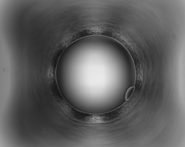 X0000096190518200801181323