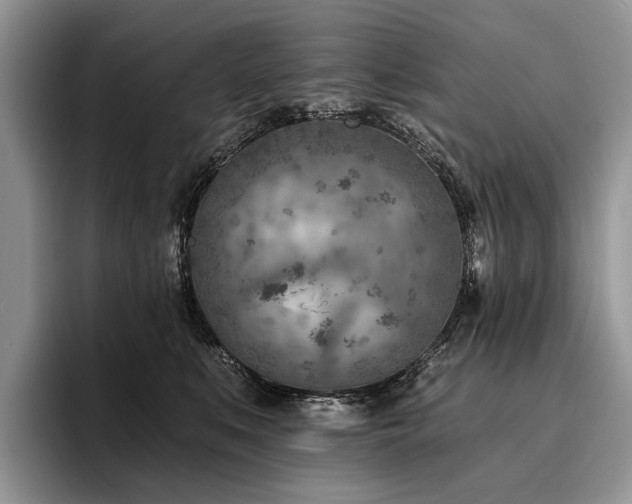 X0000096190519200801181323