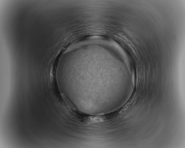 X0000096190520200801181323