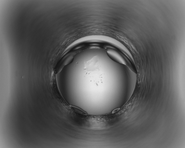 X0000096190521200801181323