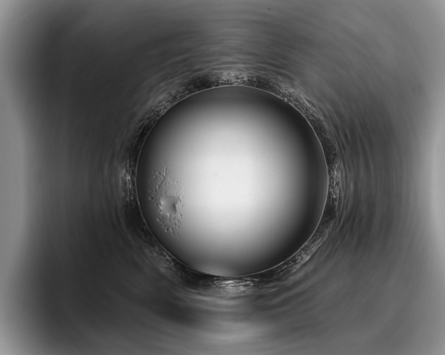 X0000096190522200801181323