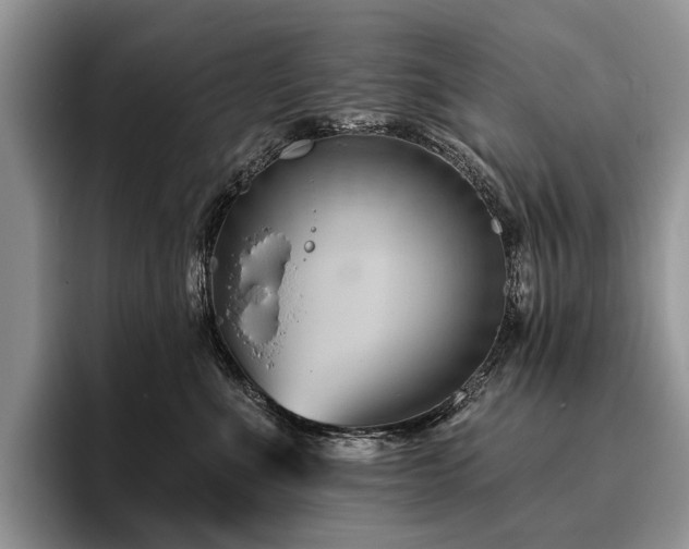 X0000096190523200801181323