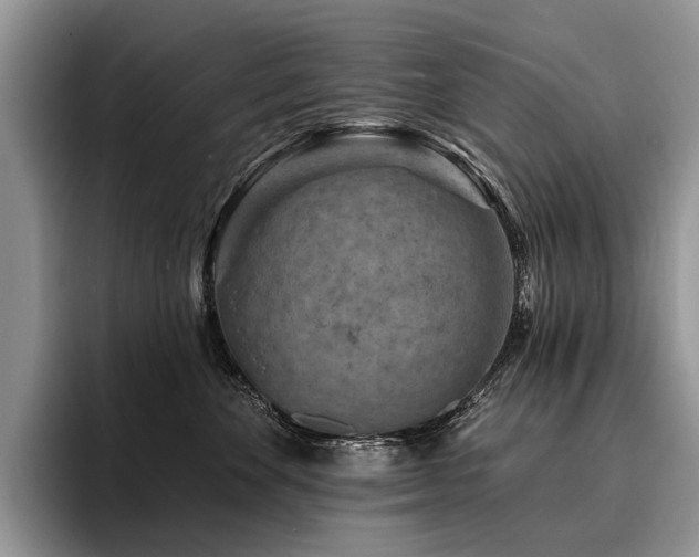 X0000096190524200801181323