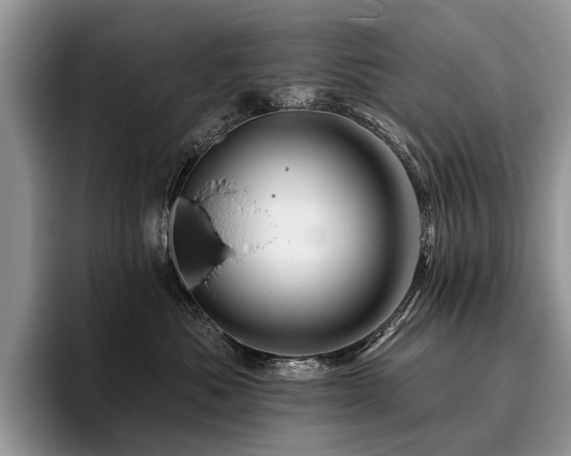 X0000096190525200801181323