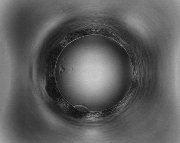 X0000096190526200801181323