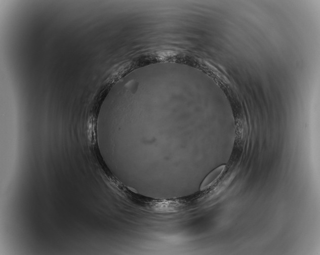 X0000096190527200801181323
