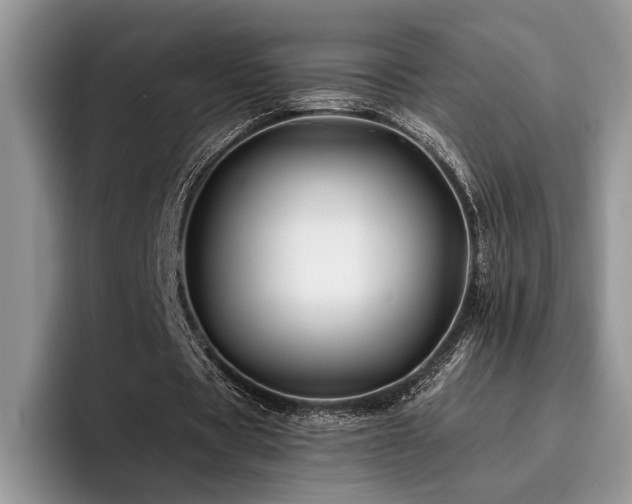 X0000096190529200801181323