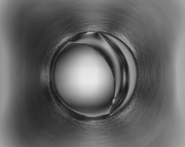 X0000096190530200801181323