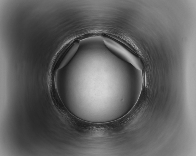 X0000096190531200801181323