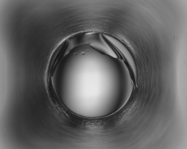 X0000096190532200801181323