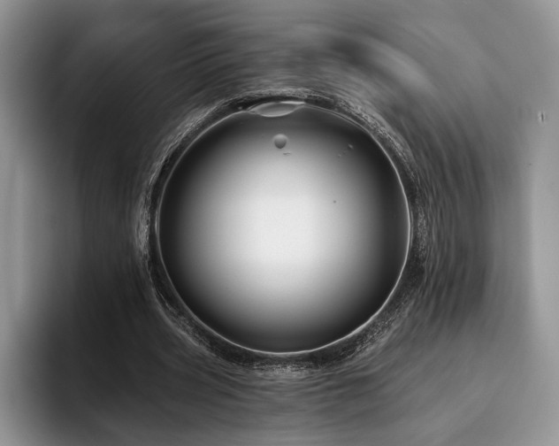X0000096190533200801181323