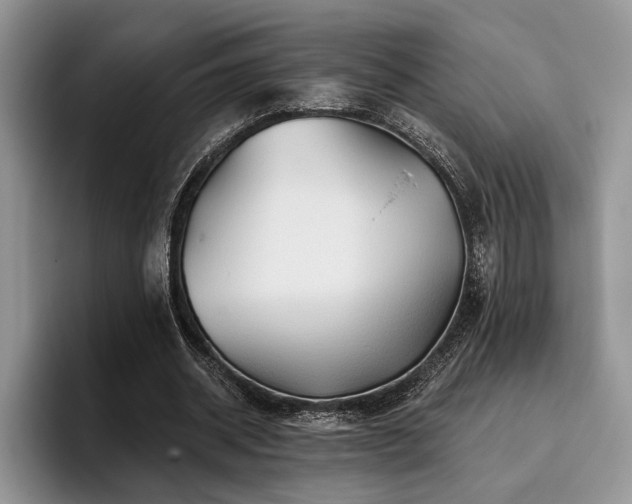 X0000096190534200801181323
