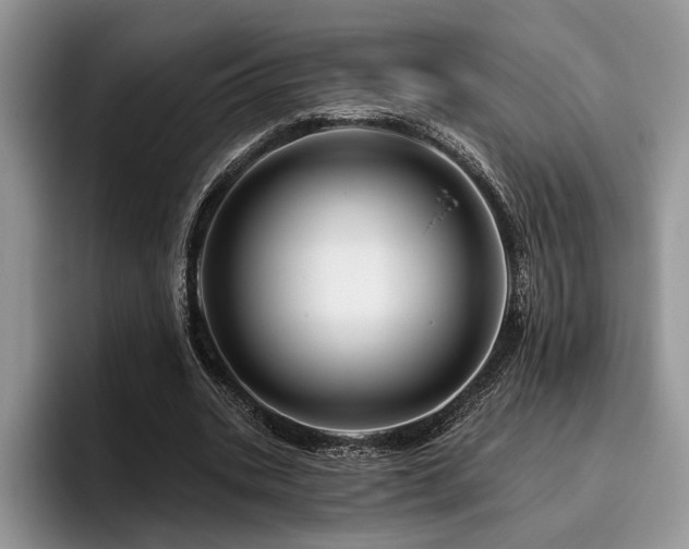 X0000096190535200801181323