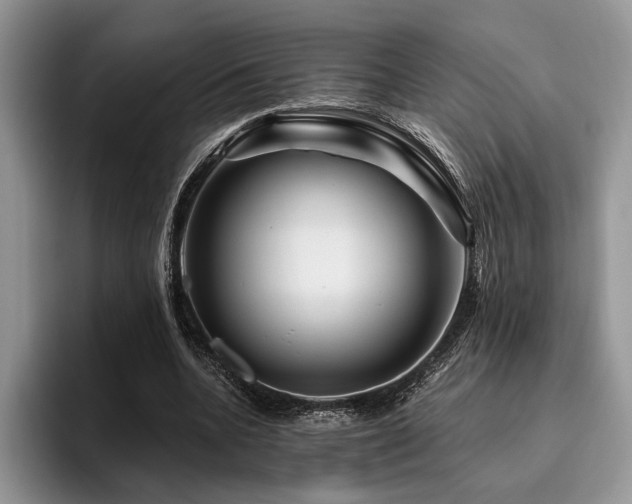 X0000096190536200801181323