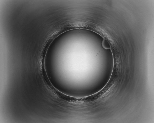X0000096190537200801181323