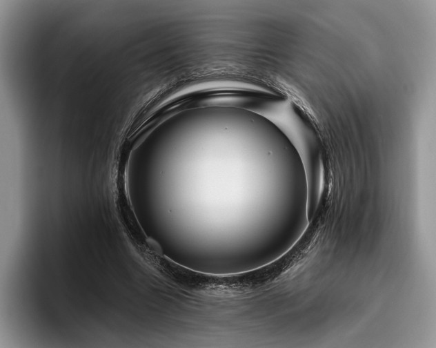 X0000096190538200801181323