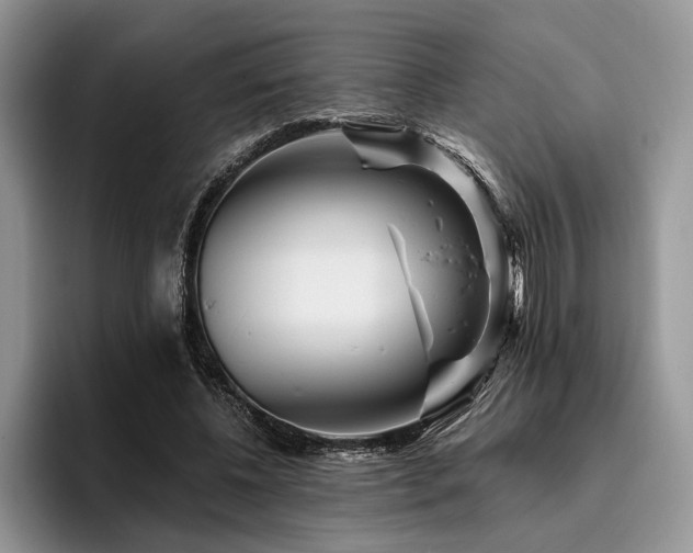 X0000096190540200801181323